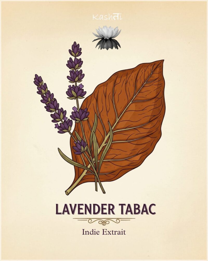 Lavender Tabac 1